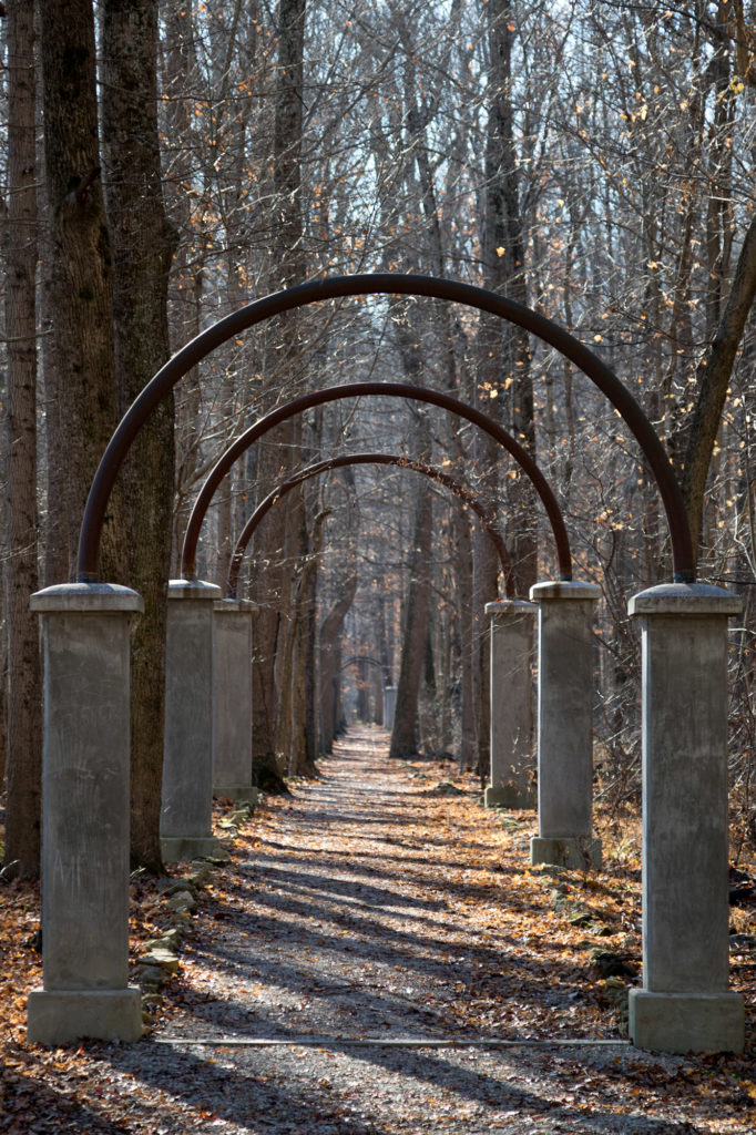 Walkway of Roses