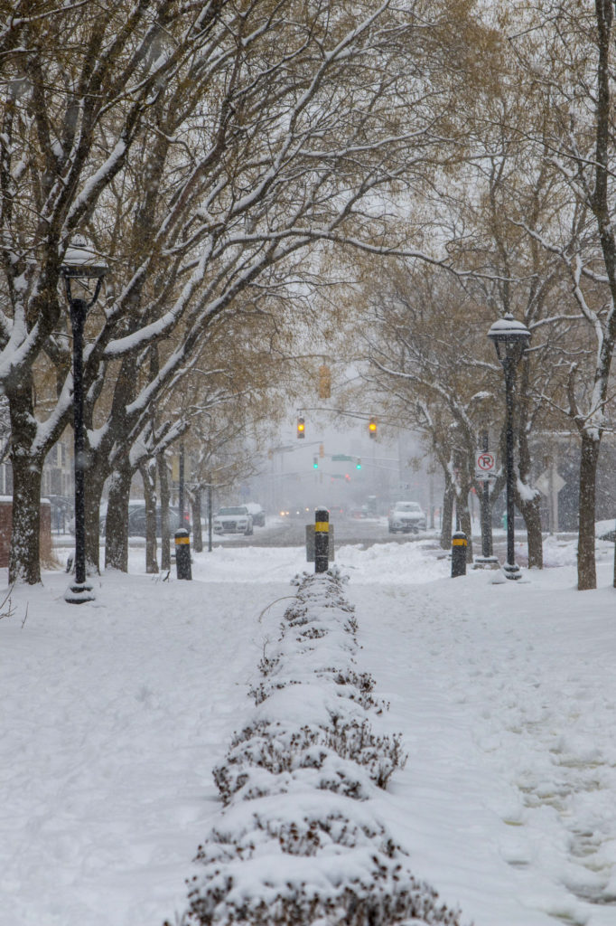 Snow Day