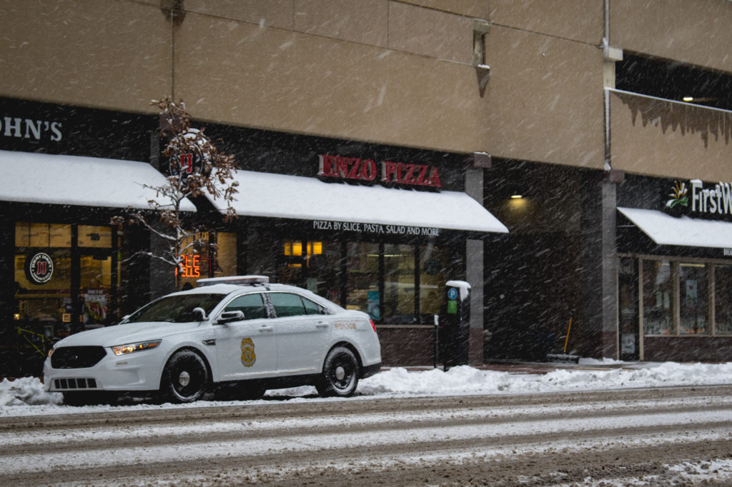 Police Cruiser in the Snow